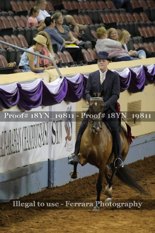 Proof 18YN_19811