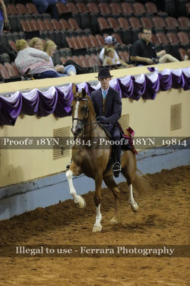 Proof 18YN_19814