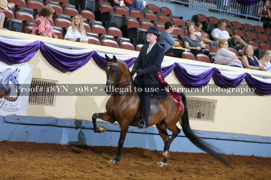 Proof 18YN_19817