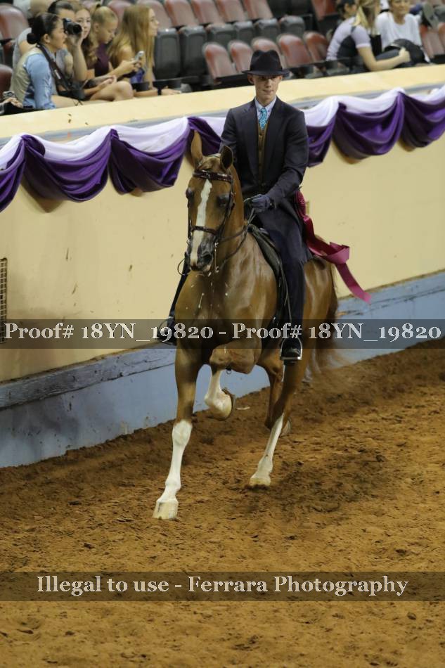 Proof 18YN_19820