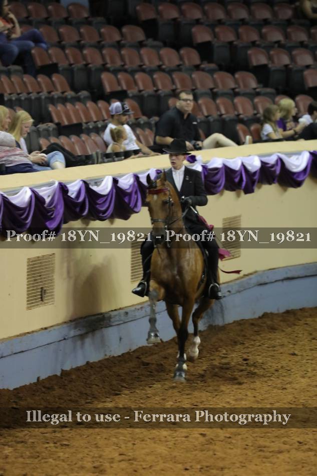 Proof 18YN_19821