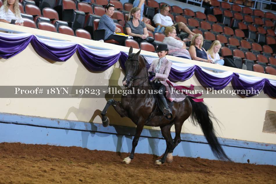 Proof 18YN_19823
