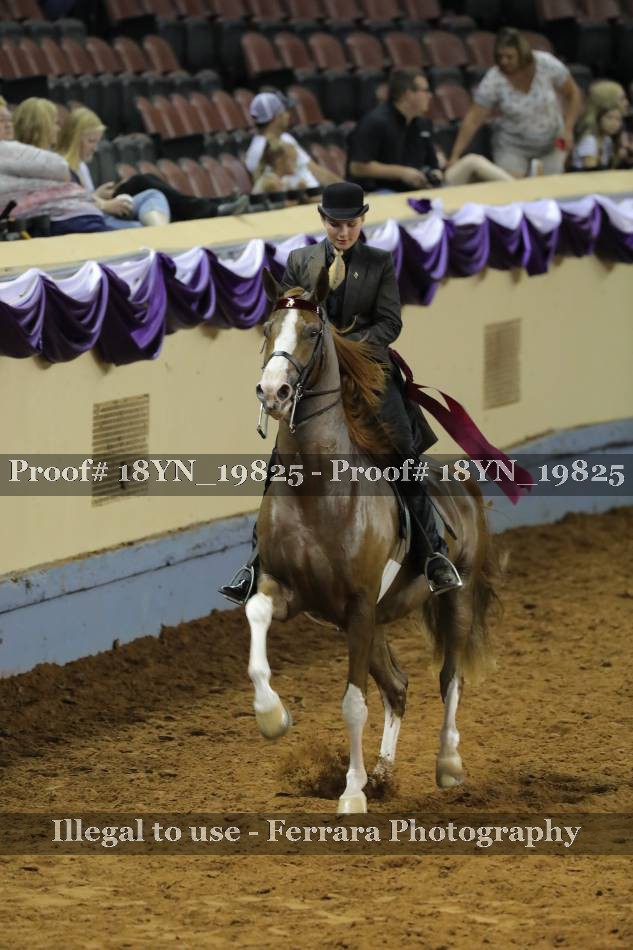 Proof 18YN_19825