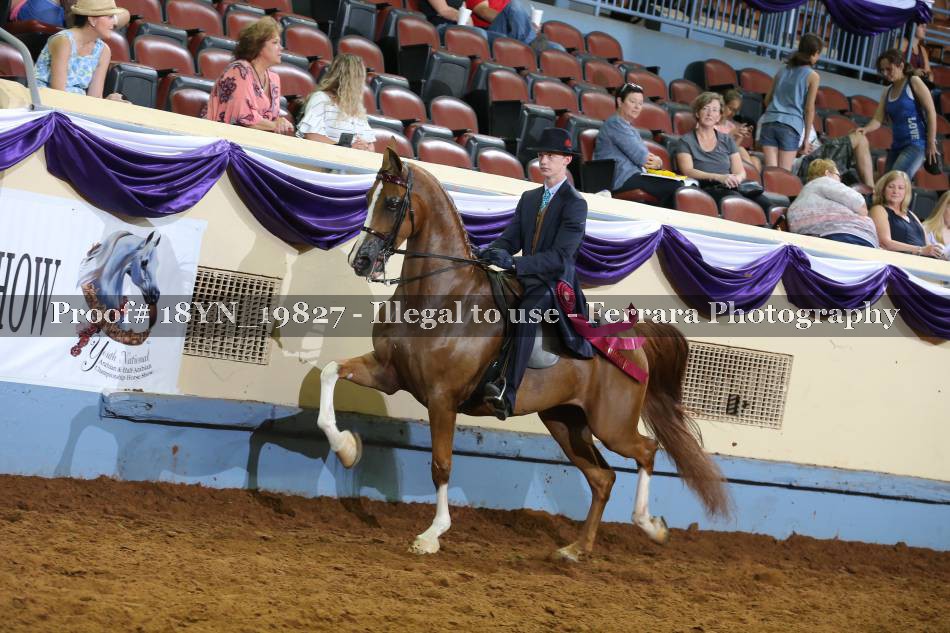 Proof 18YN_19827