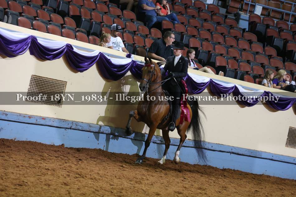 Proof 18YN_19831
