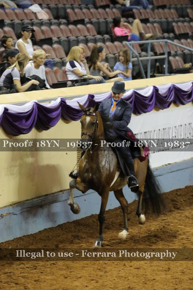 Proof 18YN_19837