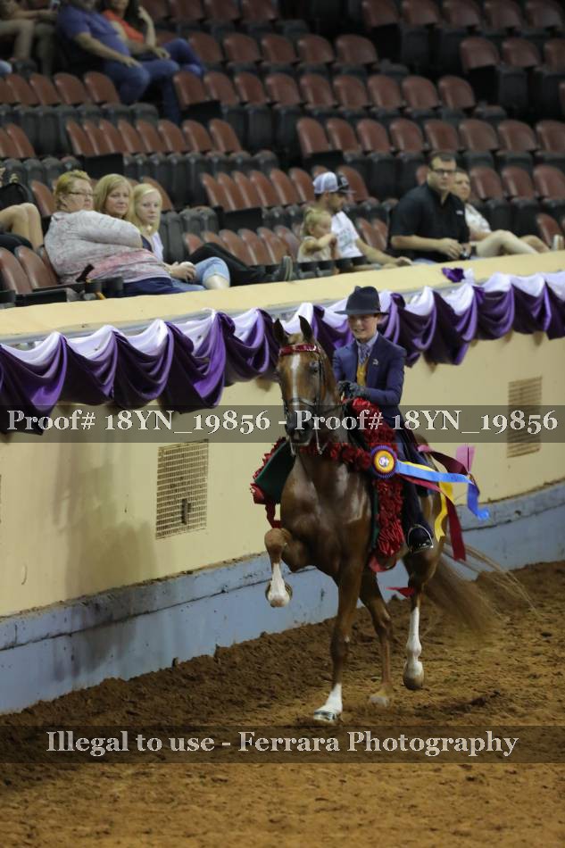 Proof 18YN_19856