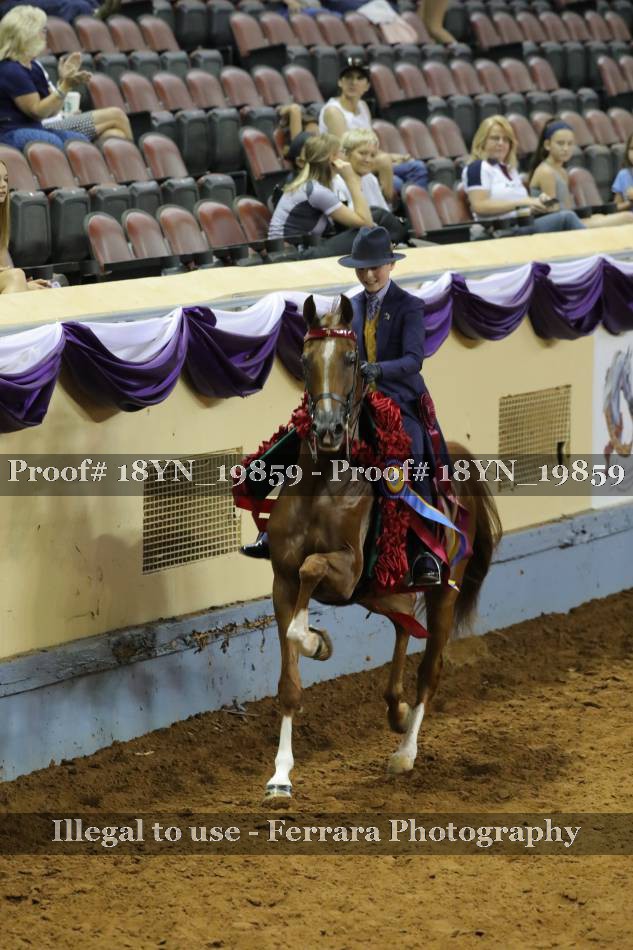 Proof 18YN_19859
