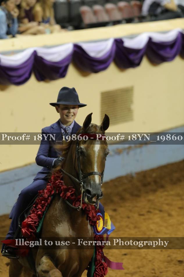 Proof 18YN_19860