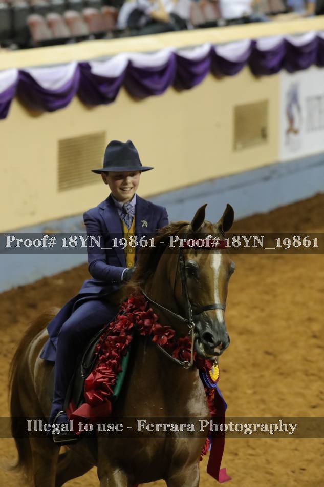 Proof 18YN_19861