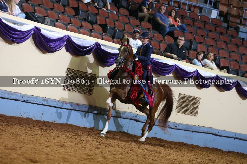 Proof 18YN_19863