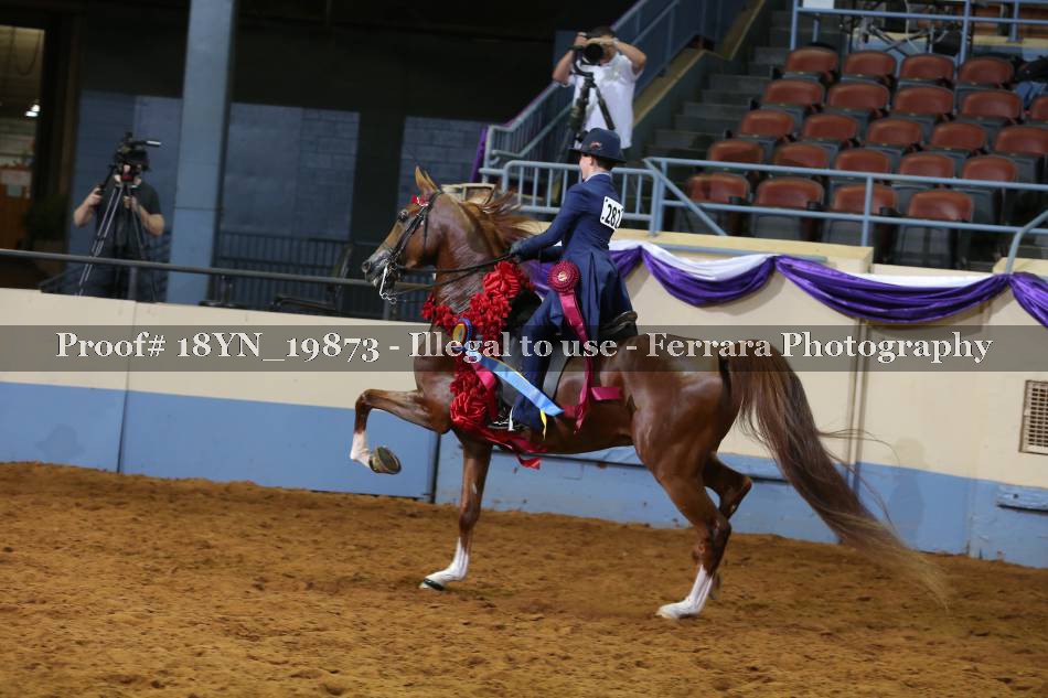 Proof 18YN_19873