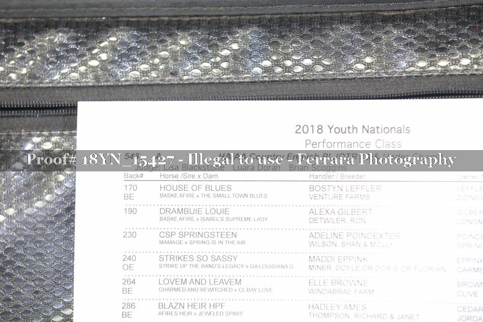 Proof 18YN_15427