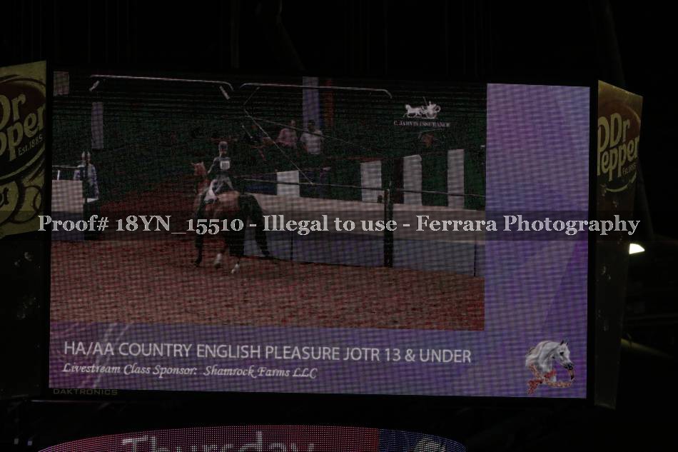 Proof 18YN_15510