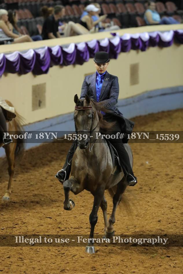 Proof 18YN_15539