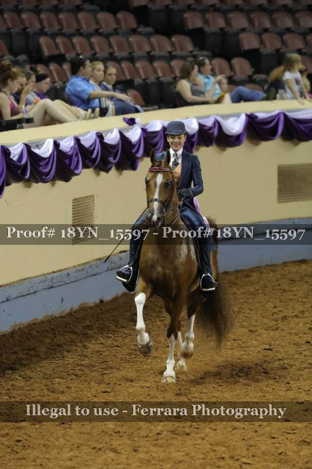 Proof 18YN_15597