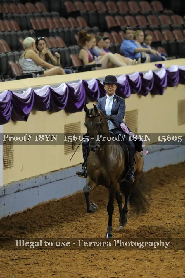 Proof 18YN_15605