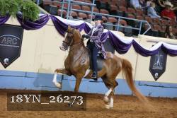18YN_26273 proof