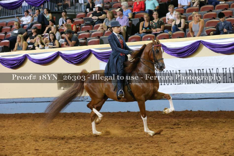 Proof 18YN_26303