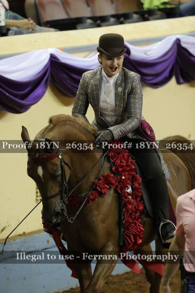 Proof 18YN_26354