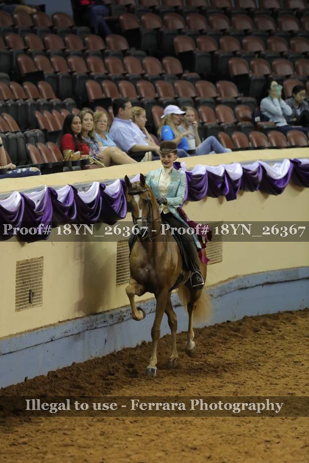 Proof 18YN_26367