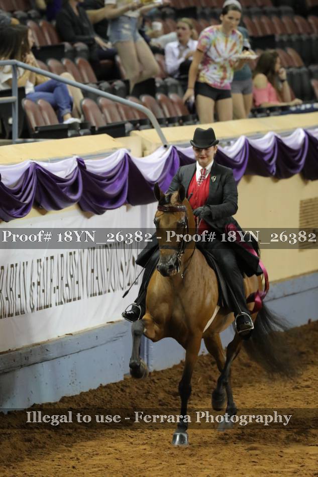 Proof 18YN_26382