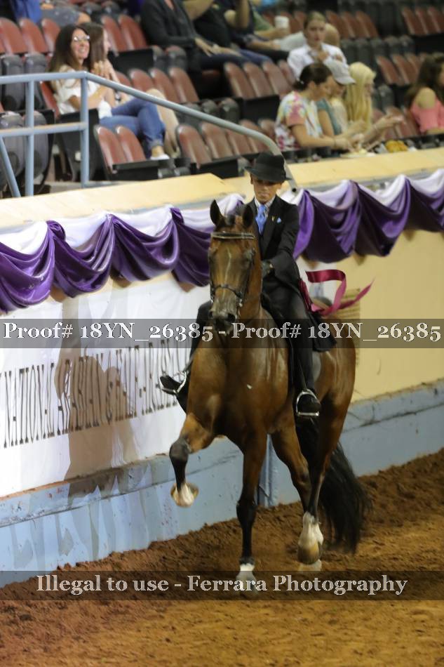 Proof 18YN_26385