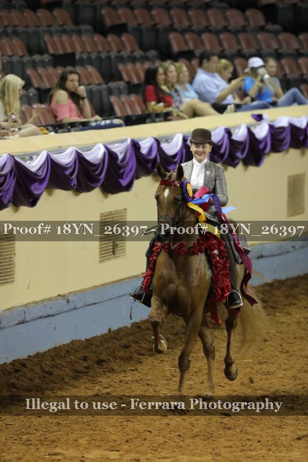 Proof 18YN_26397