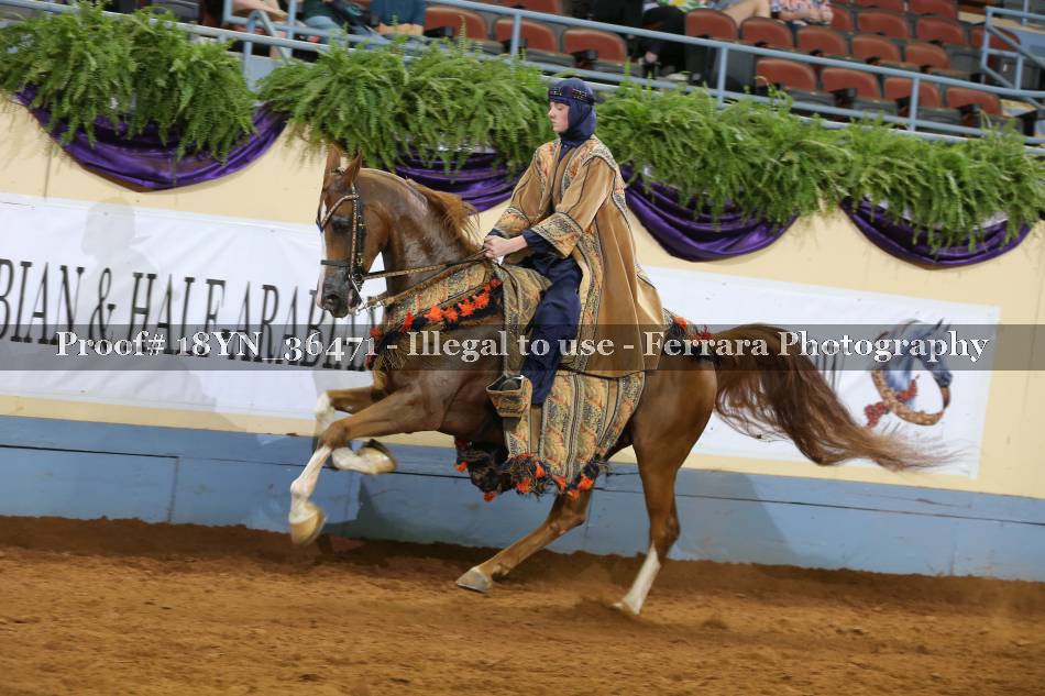 Proof 18YN_36471