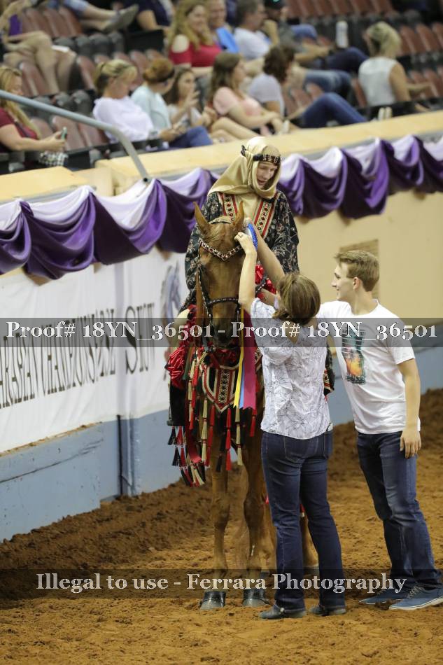 Proof 18YN_36501