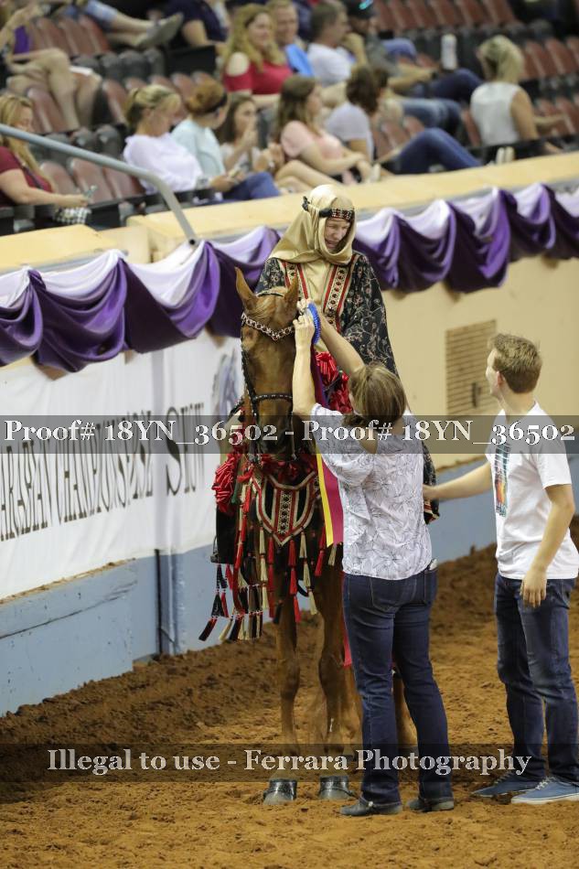 Proof 18YN_36502