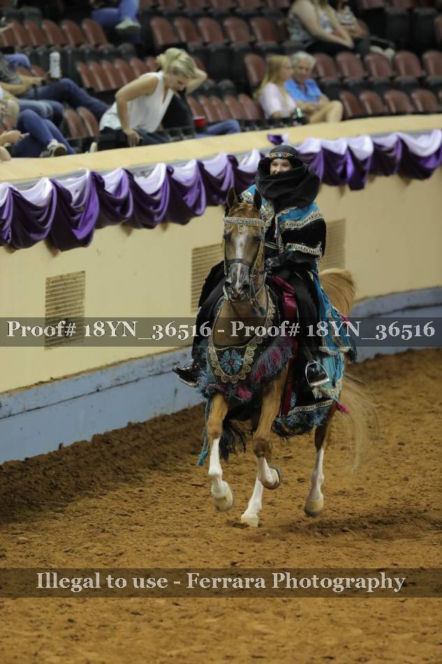 Proof 18YN_36516