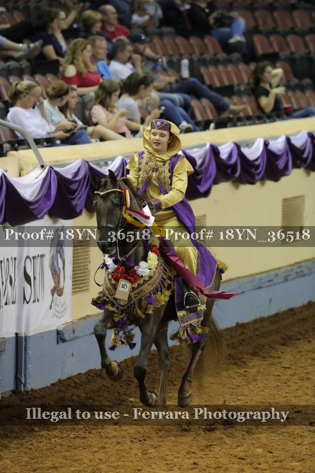 Proof 18YN_36518