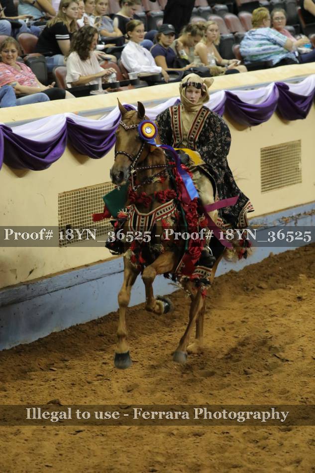 Proof 18YN_36525