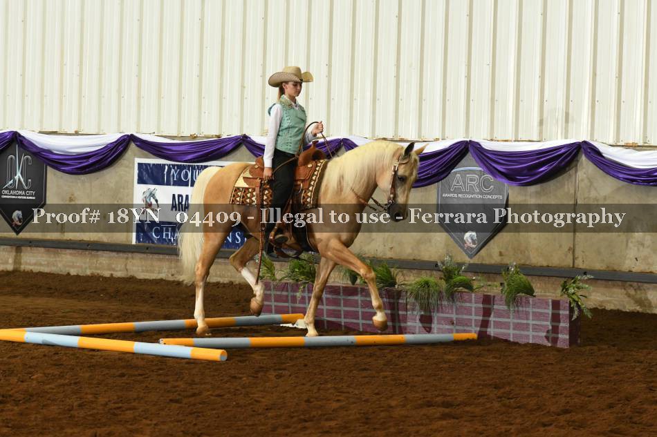 Proof 18YN_04409