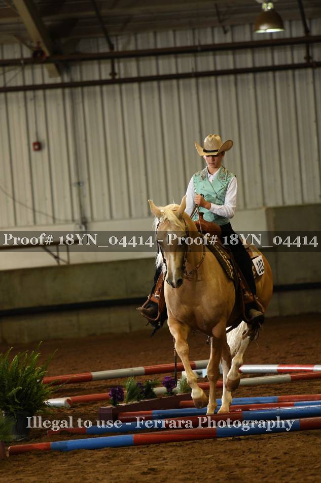 Proof 18YN_04414