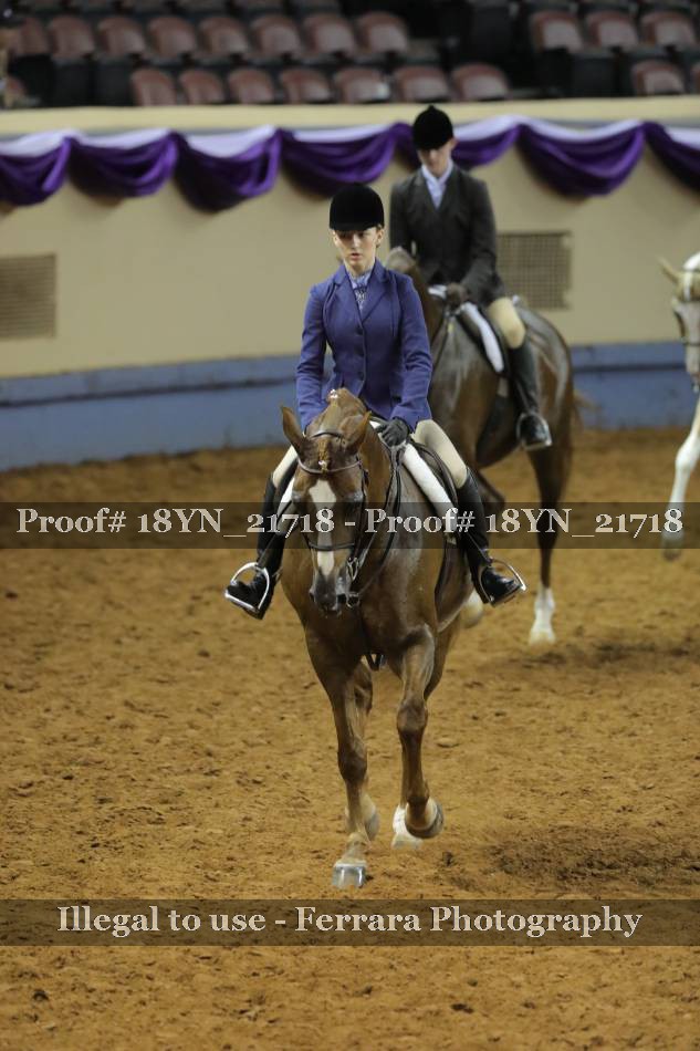 Proof 18YN_21718