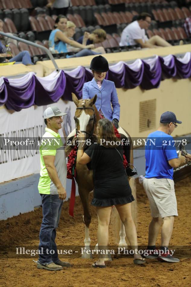Proof 18YN_21778