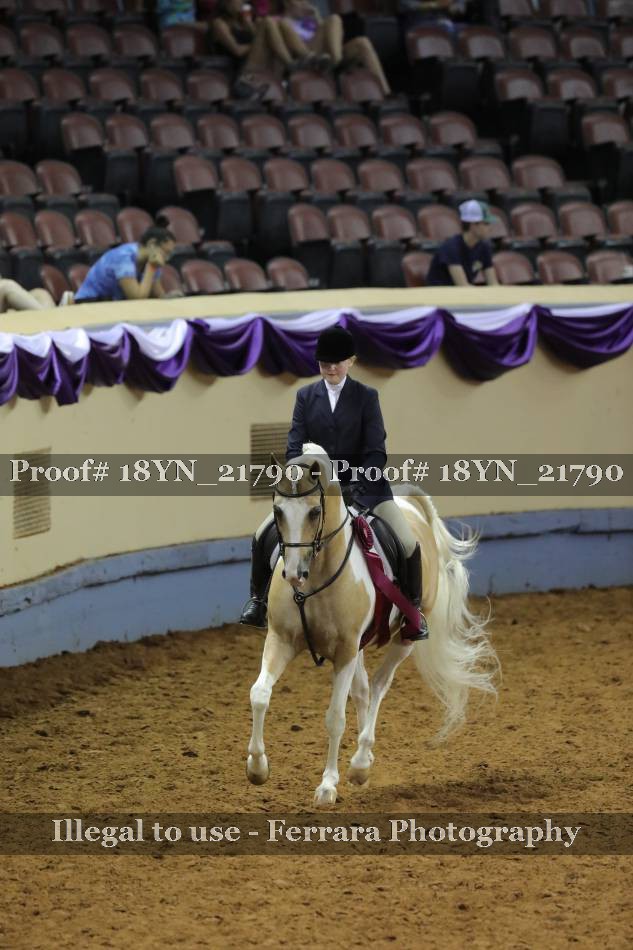 Proof 18YN_21790