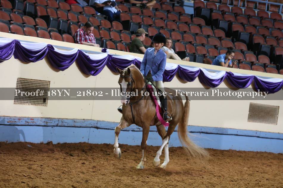 Proof 18YN_21802