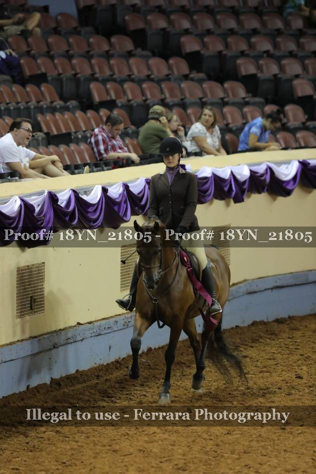 Proof 18YN_21805