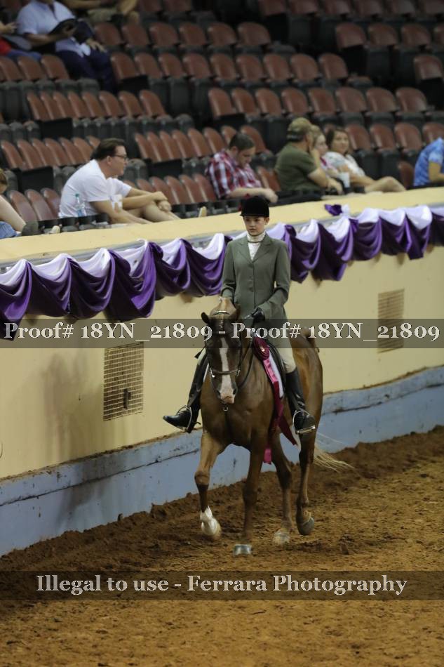 Proof 18YN_21809