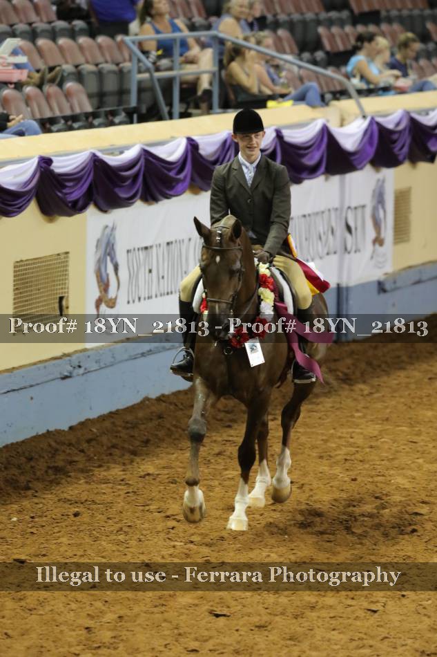 Proof 18YN_21813