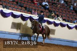 18YN_21836 proof