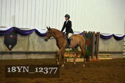 18YN_12377 proof