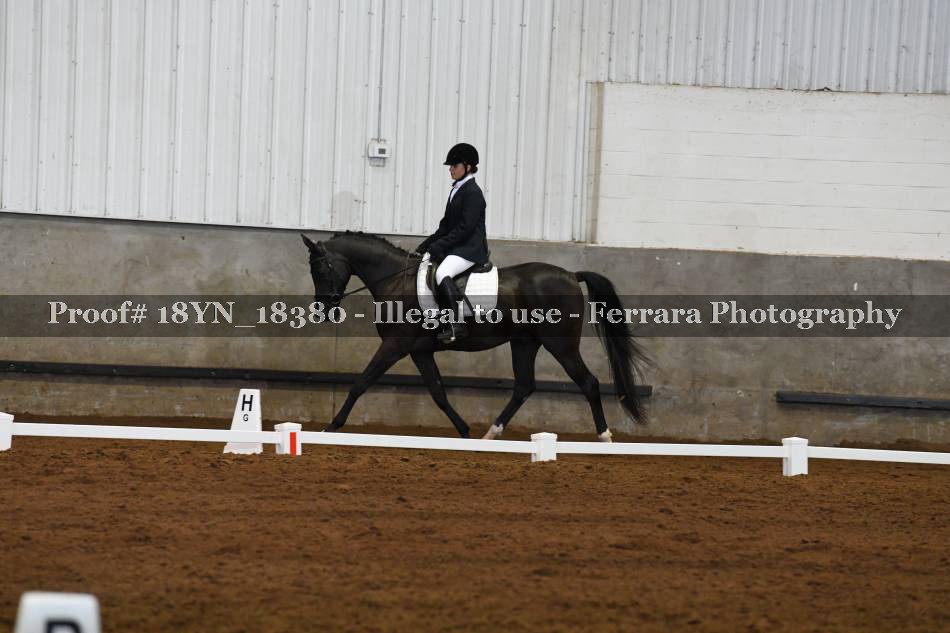 Proof 18YN_18380
