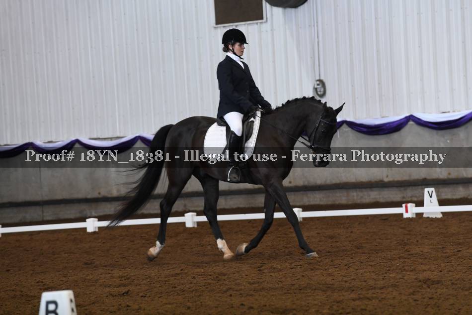 Proof 18YN_18381