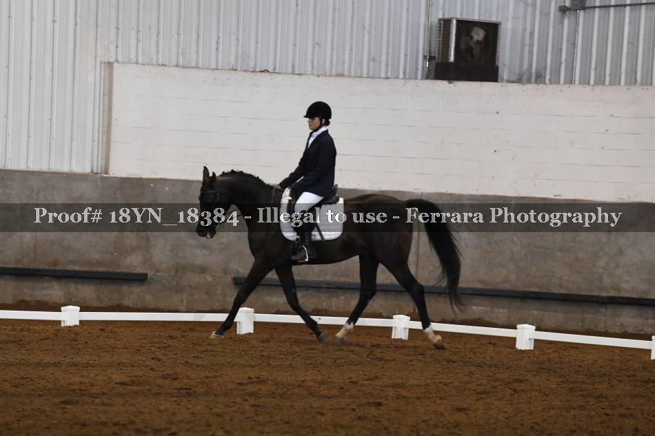 Proof 18YN_18384