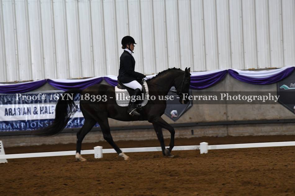 Proof 18YN_18393