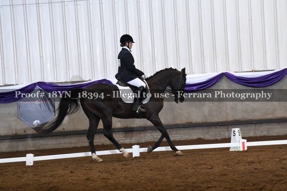 Proof 18YN_18394